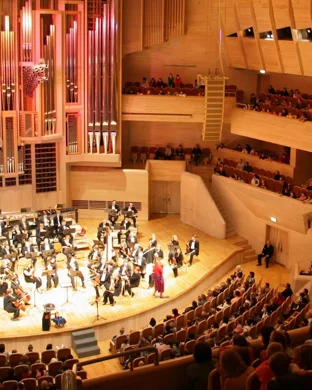 San Francisco Symphony: Music For Families